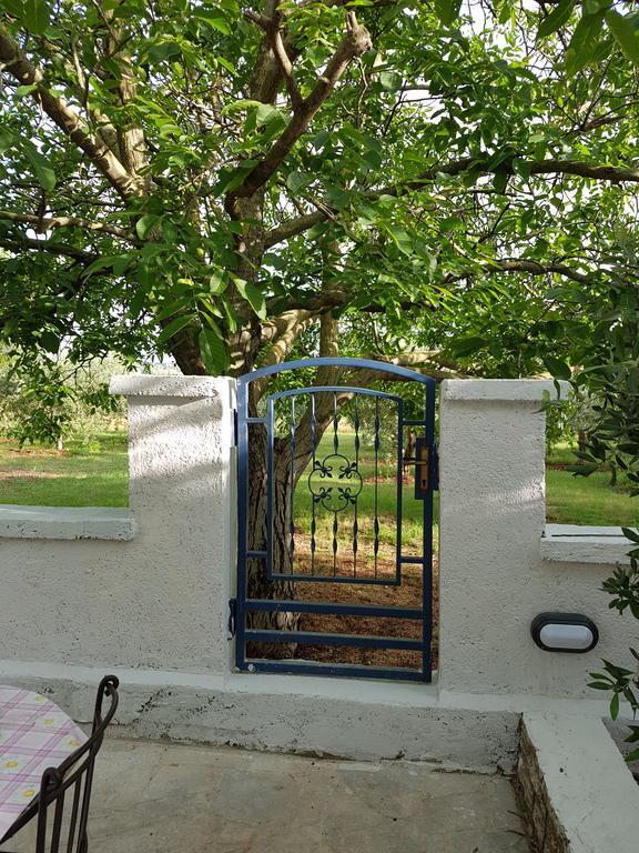 Villa Rosa With Yard And Children'S Playground Tar-Vabriga Exterior foto