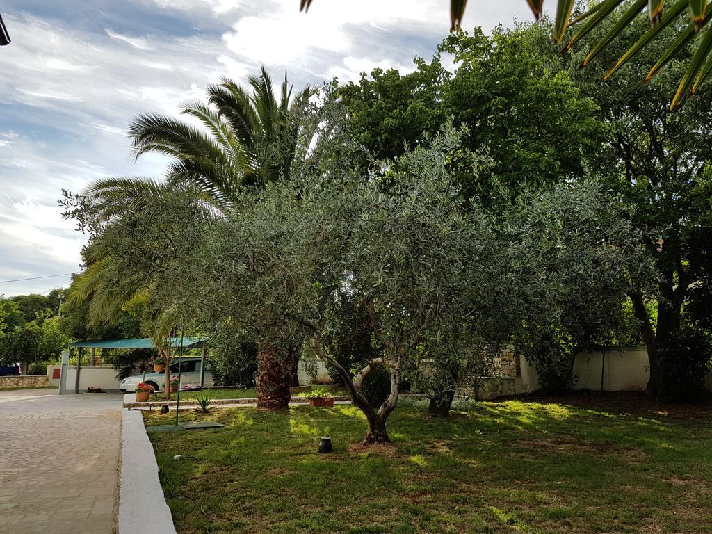 Villa Rosa With Yard And Children'S Playground Tar-Vabriga Exterior foto